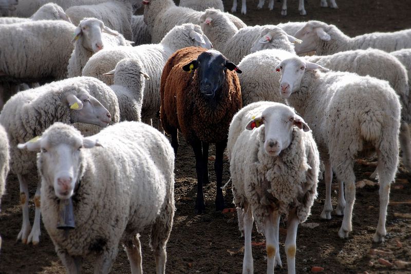 Stand out from the crowd.